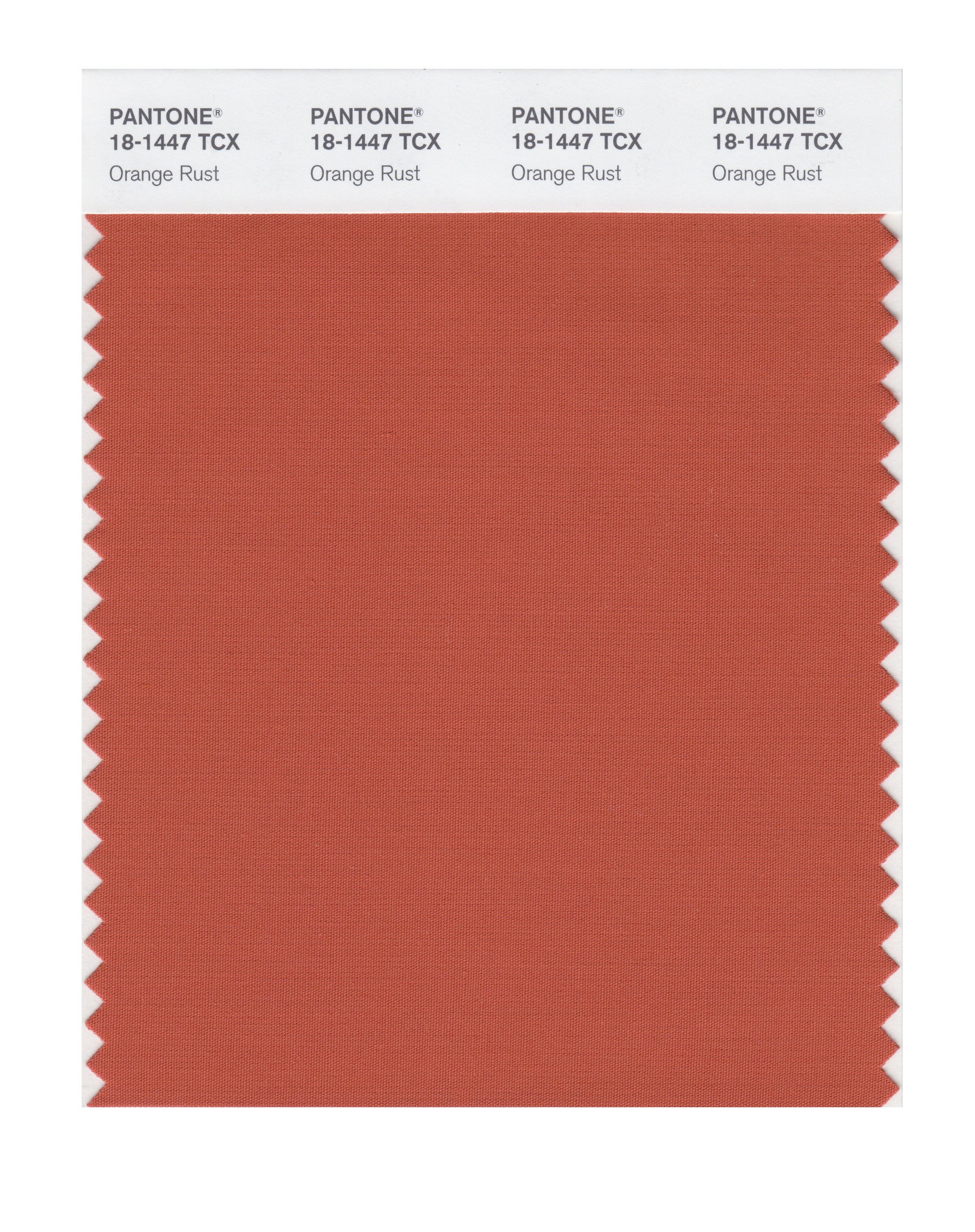 ma¨̮⃝ PANTONE Smart 18-1447X Color Swatch Card, Orange Rust - Wall